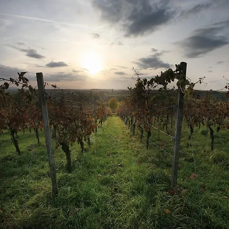 Wörners Schloss Weingut&wellness-hotel Prichsenstadt