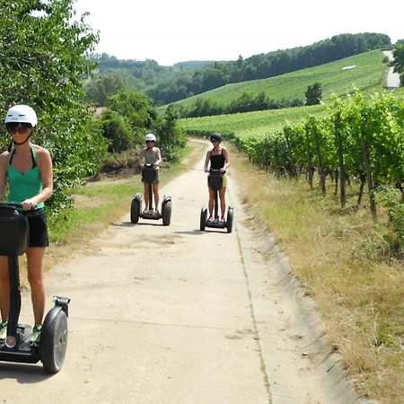 Wörners Schloss Weingut&wellness-hotel Prichsenstadt