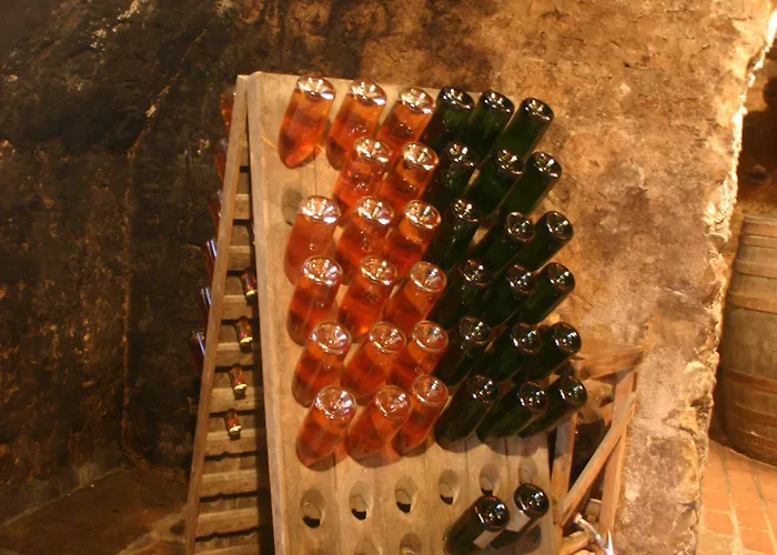 Worners Schloss Weingut & Wellness-hotel