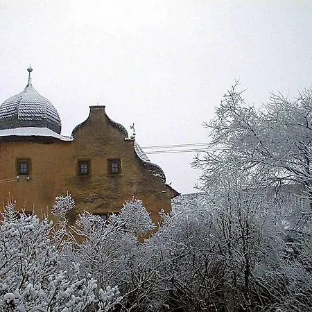 Worners Schloss Weingut & Wellness-hotel 3* 프리슈센스타트