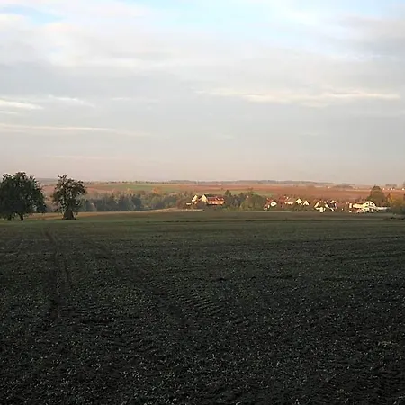 Worners Schloss Weingut & Wellness-hotel 3* 프리슈센스타트