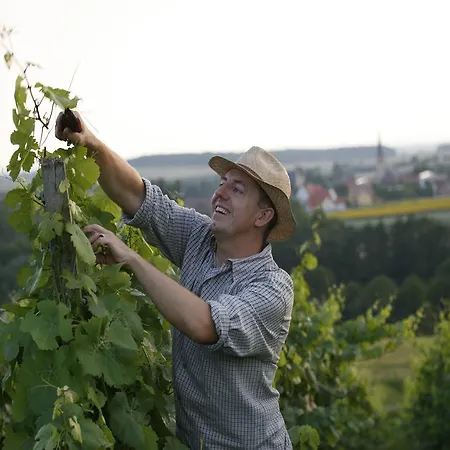 Hotel Worners Schloss Weingut & Wellness-hotel 3*