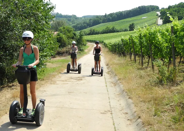 Worners Schloss Weingut & Wellness-hotel 프리슈센스타트