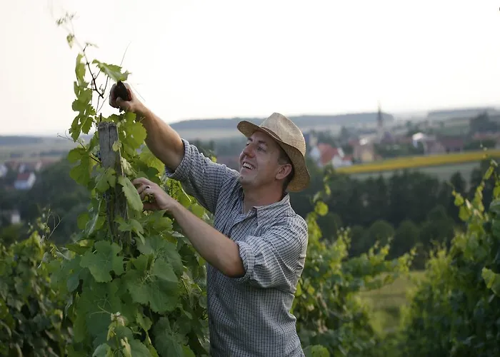 Hotel Worners Schloss Weingut & Wellness-hotel 3*