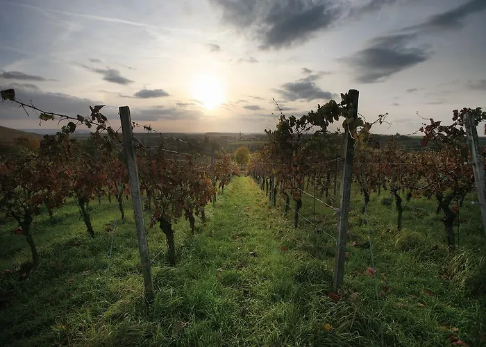 Worners Schloss Weingut & Wellness-hotel Prichsenstadt
