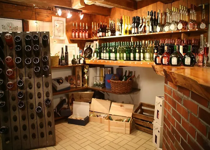 Hotel Worners Schloss Weingut & Wellness-hotel 3*